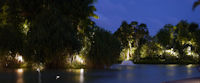 Gardens at Night-03.jpg